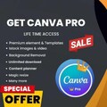 Canva Pro Lifetime product logo