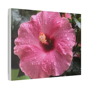 Pink Hibiscus Photo Canvas, Floral Wall Decor, Home Decoration, Living Room Art, Gift for Garden Lovers, Tropical Wall Art