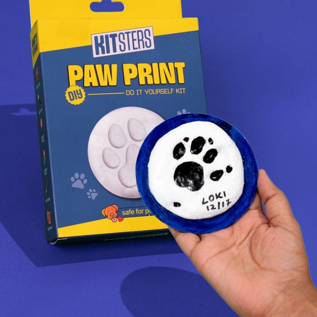 DIY Pet Paw Print Casting Kit | Cat & Dog Keepsake Art - Etsy
