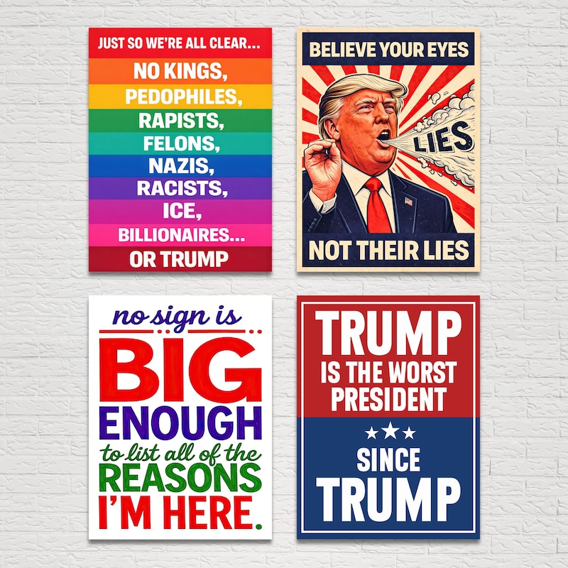 Posters Democracy - Etsy