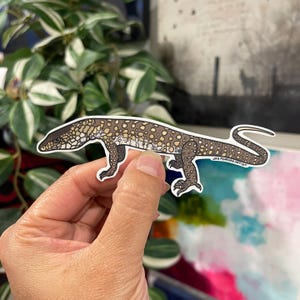 Vinylsticker Perentie Monitor Hagedis Reptiel