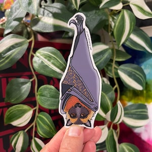 Naklejka winylowa Flying Fox (Bat)