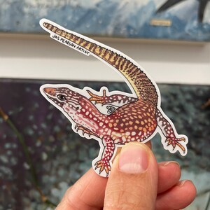 Vinylsticker Ackie Monitor Hagedis