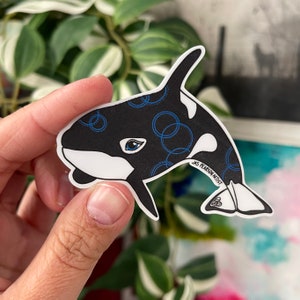 Orca Killer Whale Vinyl Sticker
