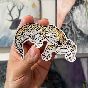Leopard Gecko Vinyl Sticker