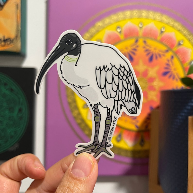 May include: A white and black illustrated sticker of a bird with a long beak. The bird is standing on two legs and has a green and black stripe around its neck. The sticker has the text "JAS PEARSON ART" on the bottom right corner.