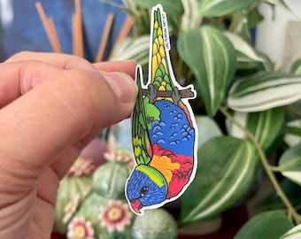 Lorikeet Australian Bird Vinyl Sticker