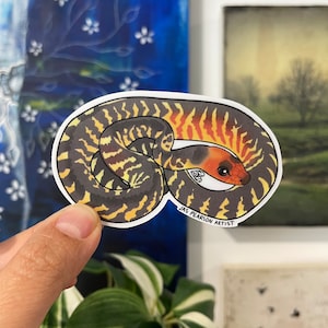 May include: A sticker depicting a coiled snake illustration. The snake has a red head, a white underbelly, and a body with black, yellow, and orange patterns. The text "JAS PEARSON ARTIST" is printed on the sticker.