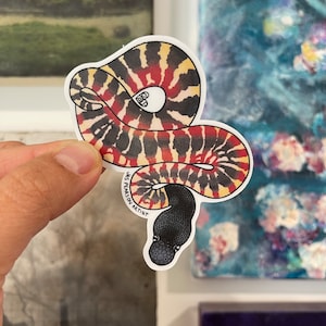 Peut inclure: Un autocollant représentant une illustration stylisée d'un serpent. Le serpent a une tête noire et un corps avec un motif de tourbillons rouges, noirs et jaunes. Le nom de l'artiste, "JAS PEARSON ARTIST", est imprimé sur l'autocollant.