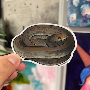 May include: A sticker with an illustration of a coiled snake. The snake is rendered in brown and grey tones, with detailed scale patterns. The snake's head is visible, showing an eye and a forked tongue. The artist's signature is in the bottom right corner.