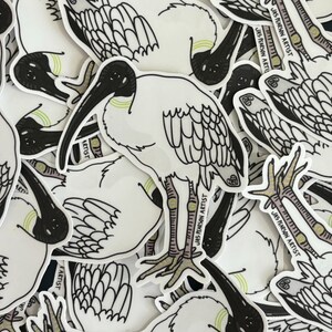 May include: A stack of white stickers with black line drawings of a bird with a long beak. The bird is called a "White Ibis" and the stickers have the artist's name "Jas Pearson Artist" printed on them.