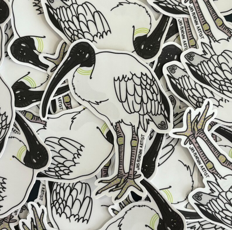 May include: A stack of white stickers with black line drawings of a bird with a long beak. The bird is called a "White Ibis" and the stickers have the artist's name "Jas Pearson Artist" printed on them.