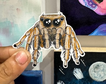 Jumping Spider Vinyl Sticker
