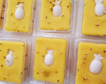 Fresh Pineapple | Wax Melt | Soy Free | Paraben Free | Phthlate Free | Carina Dolci Apothecary