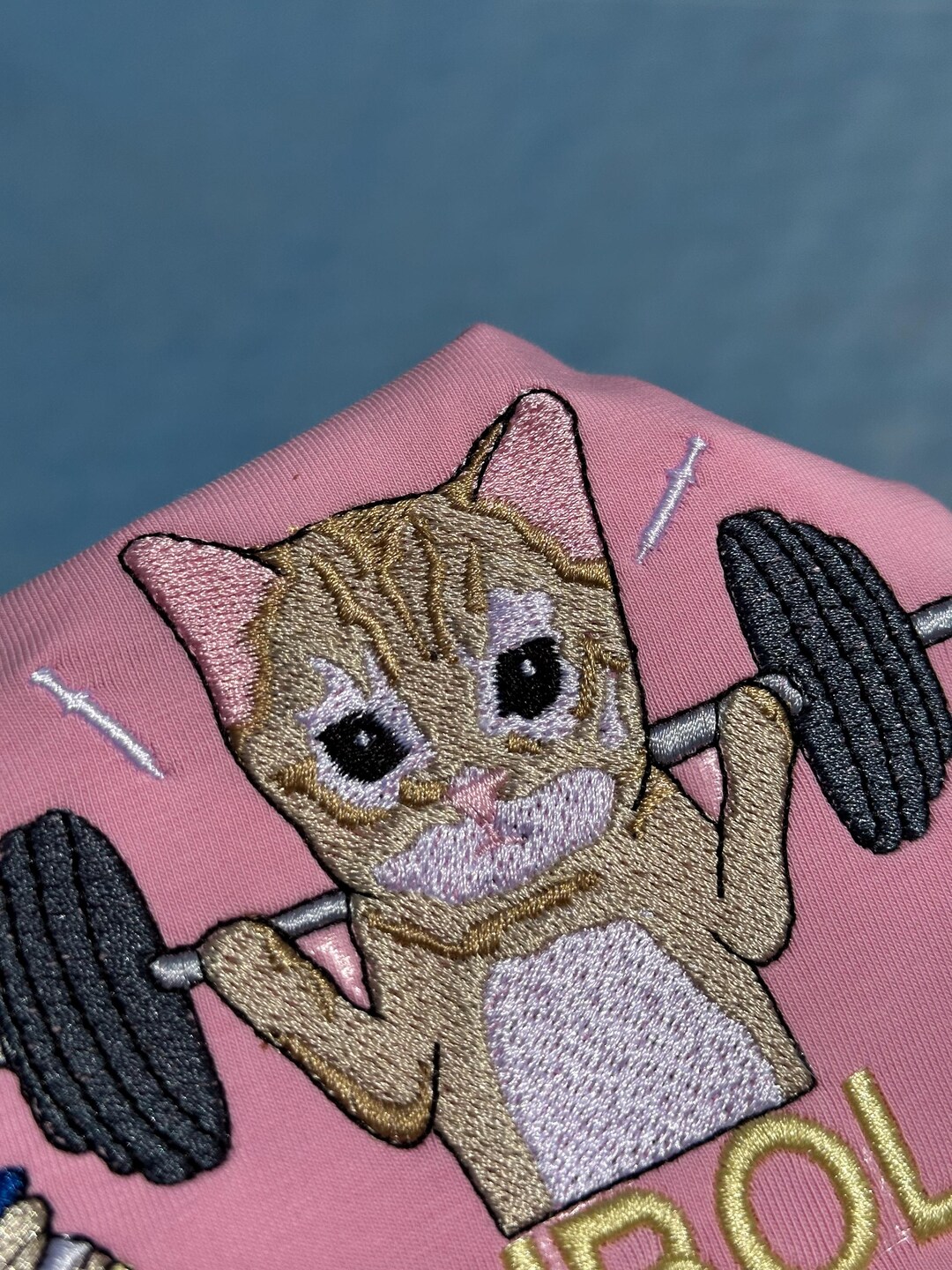 Trenbcat Embroidery Shirt – Funny Gym Meme Tee – Buff Kitten Lifting ...