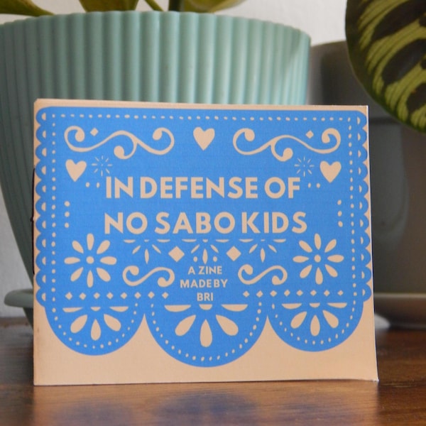 In Verteidigung von Kein Sabo Kids Zine