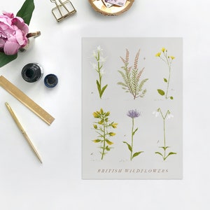 Set of 11 Wildflower Postcards. British Botanical Postcards. Wildflower Gift. Christmas gift for her. Flower Postcard set