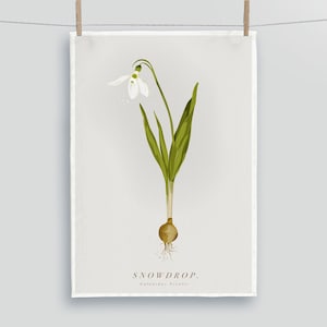 Snowdrop Tea Towel. Botanical Wildflower Tea Towel. Spring Flower. White Flower Tea Towel. Snowdrop Art. Snowdrop Gift.