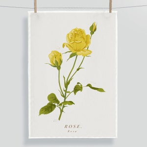 Yellow Rose Tea Towel. Botanical Wildflower Tea Towel. Yellow Flower Tea Towel. Floral Tea Towel. Rose Art. Rose Botanical Illustration.