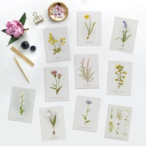 Lot de 10 cartes Fleurs sauvages. Imprimable. R6. Jeu de cartes numériques fleurs sauvages. Jeu de cartes botaniques, carte FSC. Cartes de voeux britanniques de fleurs sauvages.