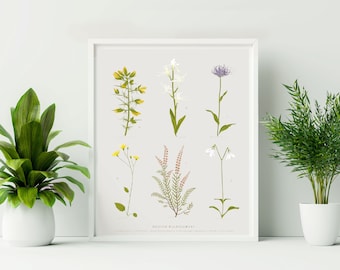 Unframed British Wildflower Print. British Botanical Print. Flower Print. Valentine wall art.  Easter flower wall decor.