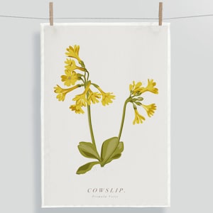 Cowslip Tea Towel. Spring Flower Tea Towel. Botanical Wildflower Tea Towel. Yellow Flower Tea Towel. Cowslip Art. Cowslip Illustration.