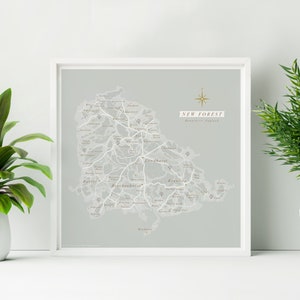 Gerahmter New Forest Druck. Neuer Wald Illustrierte Karte. New Forest Wall Art. UK National Park Karte.