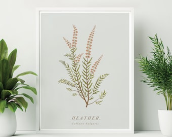 Unframed Heather Print. Heather Botanical Print. British Wildflower Illustration. Plant Lady Gift. Gardening Gift. Easter flower wall decor