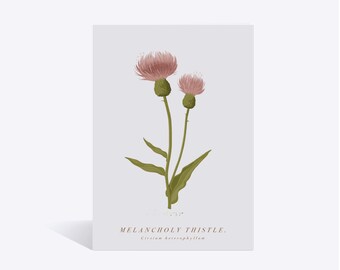 Thistle Card. A6. Kraft Envelope. Mothers Day Flower Card. Botanical Card, Floral Card. Scottish flower Card, Plant Birthday Card.