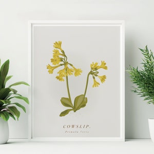 Unframed Cowslip Print. British Wildflower Print. Cowslip Botanical Illustration. Primula Veris Wall Art. Yellow Flower Print.