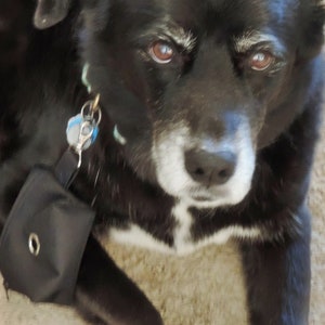 dog waste bag with grommet , dog poop bag holder, pet waste bag for collar