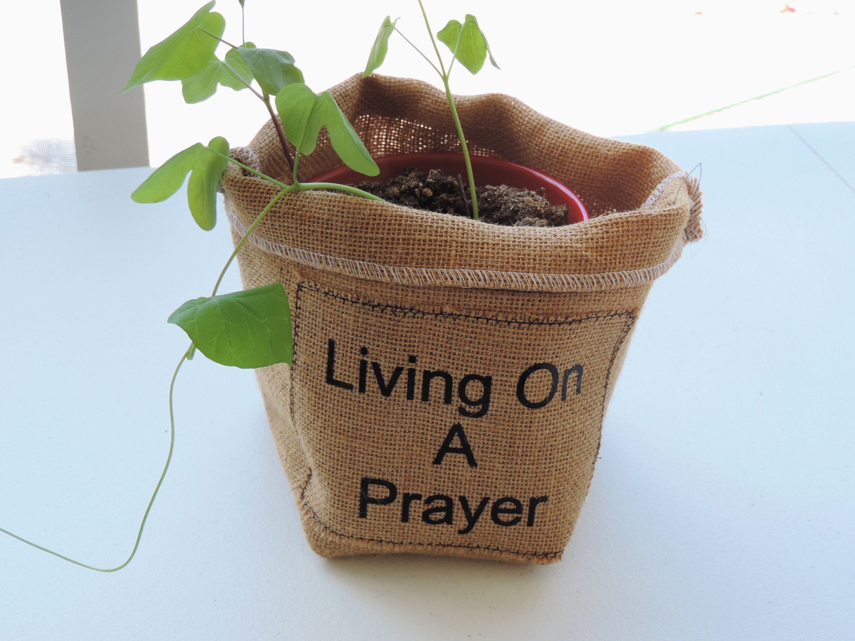 Burlap plant cover, plant pot cover, burlap slouchy basket