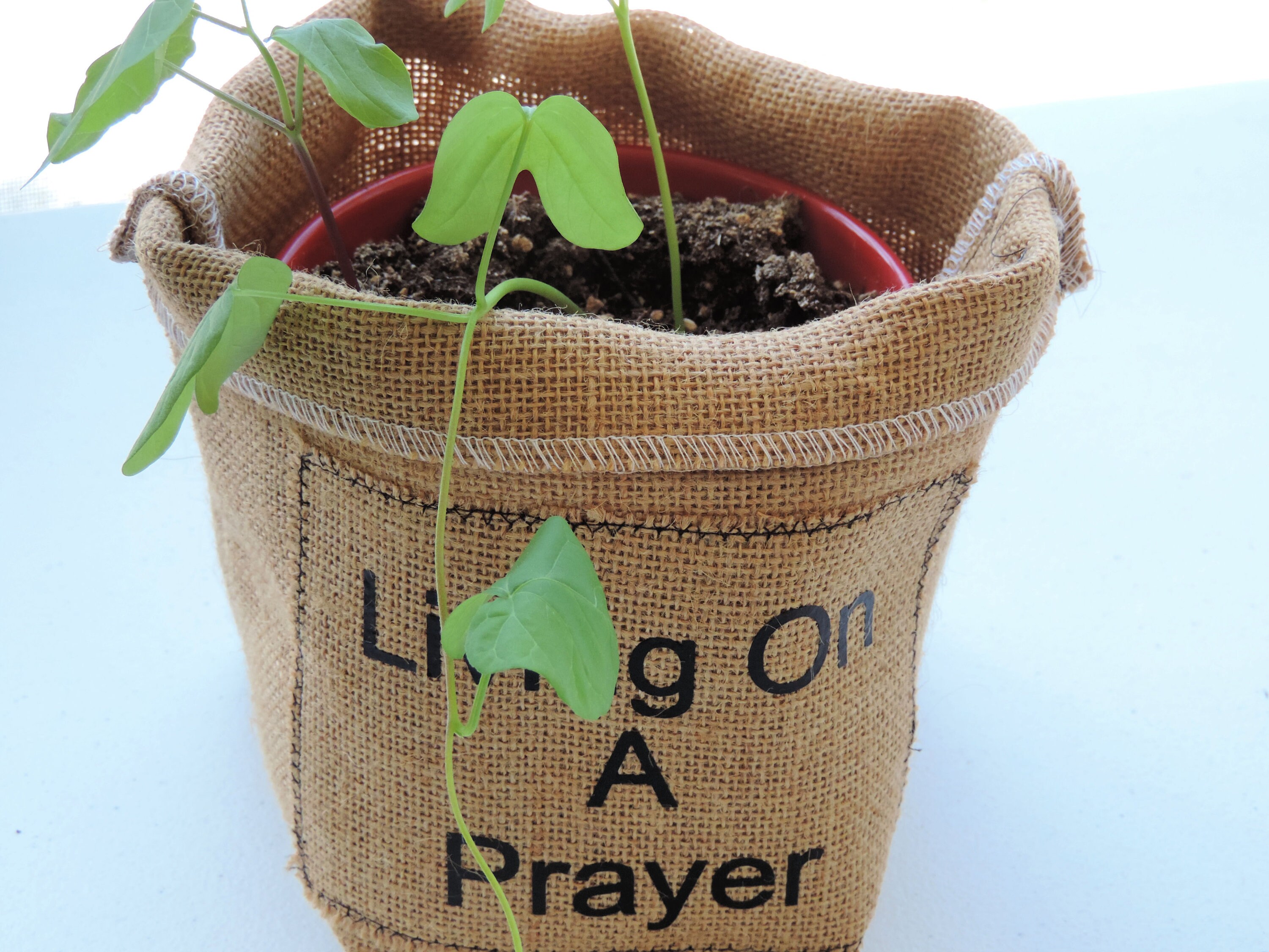 Burlap plant cover, plant pot cover, burlap slouchy basket