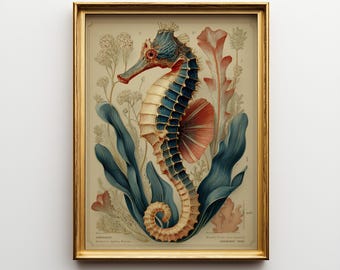 Vintage Seahorse Painting - Scientific Illustration, Natural History Art, Printable Ocean Decor, Coastal Wall Art, Sea Life Print 295