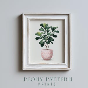 Może przedstawiać: Oprawiony wydruk z akwarelową ilustracją rośliny figowca lirowatego w doniczce. Roślina ma duże, zielone liście i jest w różowej doniczce we wzory. Biała rama ma postarzaną powierzchnię. Tekst "PEONY PATTERN PRINTS" znajduje się na dole.