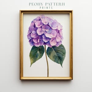 May include: A framed watercolour print of a hydrangea flower in shades of purple and pink, with green leaves and a brown stem. The print is in a gold frame, with the text "PEONY PATTERN PRINTS" at the top.
