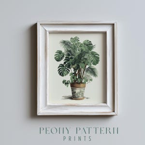 Puede incluir: Una impresión botánica enmarcada que presenta una ilustración detallada de una planta en maceta con hojas grandes y verdes. La planta está en una maceta decorativa con un diseño floral. El marco es blanco con un acabado envejecido. El texto "PEONY PATTERN PRINTS" está en la parte inferior.