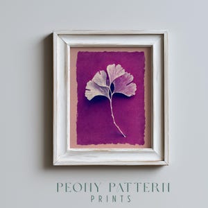May include: A framed print of a ginkgo leaf on a deep purple background. The leaf is a light purple colour with delicate veining. The frame is white with a distressed finish. The print is set against a pinkish-beige mount. The text "PEONY PATTERN PRINTS" is at the bottom.
