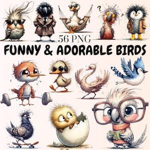 56 Funny Bird Clipart PNG + SVG | Quirky Cartoon Bird Bundle | Transparent Backgrounds | Instant Digital Download | Commercial use
