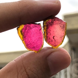 Può includere: Due pietre preziose di tormalina anguria, tenute tra le dita, mostrano un centro rosa vibrante con un bordo giallo dorato. Le pietre traslucide hanno una forma irregolare, mostrando trame naturali e variazioni di colore. Queste pietre sono ideali per la creazione di gioielli.