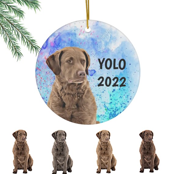 Chesapeake Bay Retriever Personalized Dog Ornament Custom Dog - Etsy