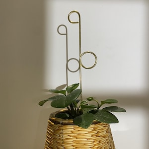 Puede incluir: Una planta de interior en una cesta tejida con un soporte para plantas de color dorado. La planta tiene hojas de color verde oscuro. La cesta está hecha de material tejido marrón claro. El soporte para plantas tiene un diseño de bucle y círculo.