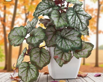 1X ARTIFICIALE IN Vaso Fiori Finto Foglie Piante Vasi Bonsai Giardino