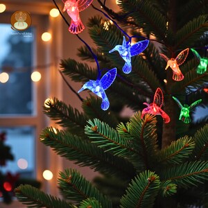 Luci fatate, colibrì a batteria, LED caldi e RGB, 1,5 m, 3 m, 6 m, per giardino, patio, balcone, Natale all'aperto, decorazioni per le feste