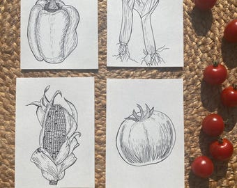 Hand-Drawn Vegetable Art – Set of 4 Originals (Corn, Pepper, Leek, Tomato)