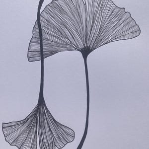 Illustrazione originale di una foglia di ginkgo disegnata a mano | Fineliner A4 su carta da 220 g/m² | Decorazione da parete botanica senza cornice