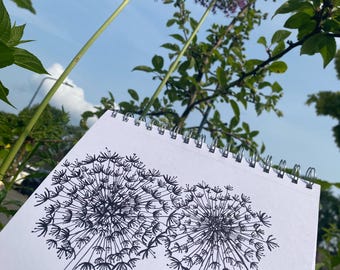 Hand-Drawn Allium Illustration | Botanical Line Art on A4 220gsm Acid-Free Paper | Garden-Inspired Wall Art | Unique & Unframed