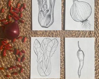 Set of 4 Original A6 Vegetable Drawings – Unique Hand-Drawn Kitchen Wall Art | Botanical Line Art o – Onion, Chili Pepper, Bok Choy, Fennel