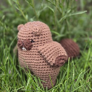 Beaver, stuffed toy, amigurmi, Canadian, decoration