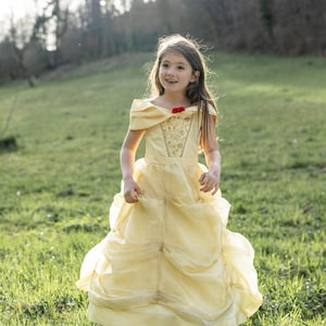 enchanted princess dress up Amazon.com: Little Adventures Enchanted Alpine Coronation Princess Dress-Up Costume for Adult Women